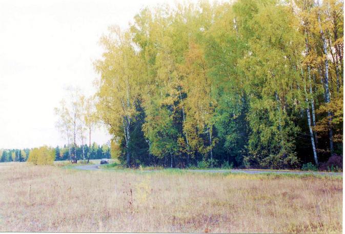 Confluence East View