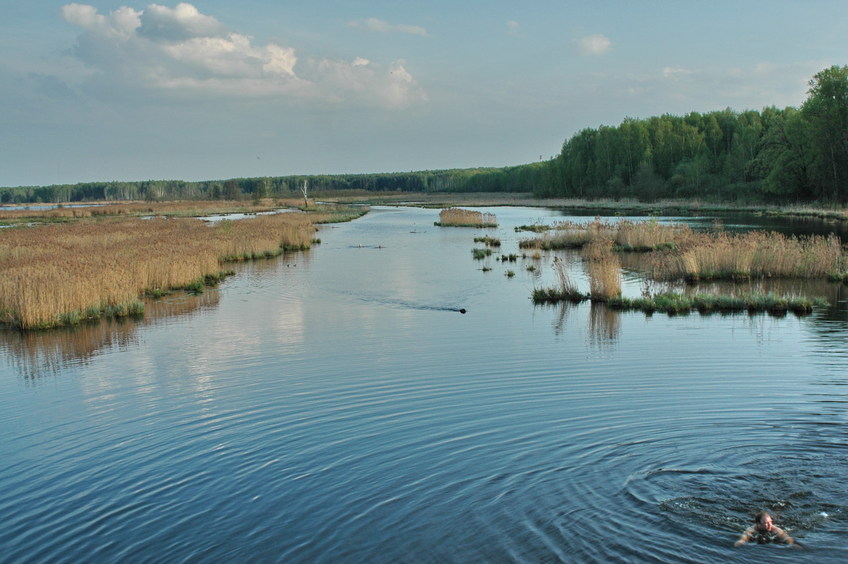 Истоки Яузы/Yauza river source