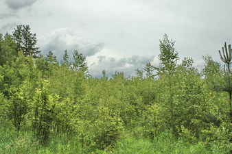 #1: General view to the confluence (from NW)