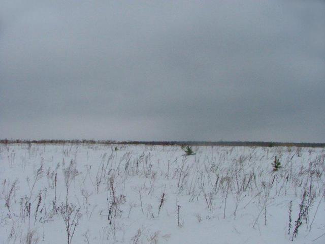 Вид на Север // View to the North