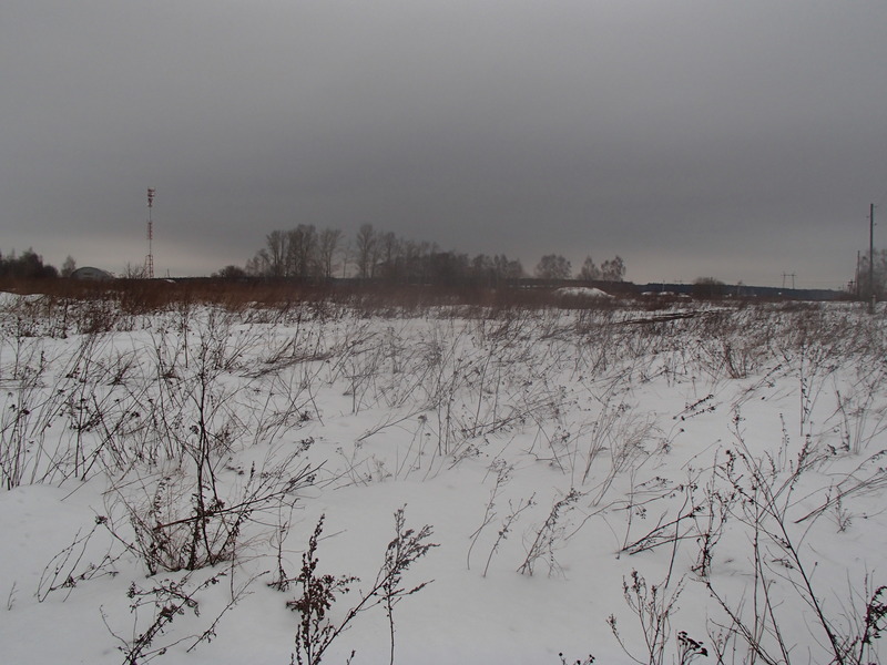 View to the north / Вид на север