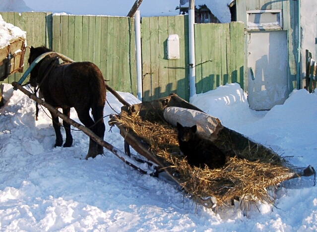 Local cross-country transport