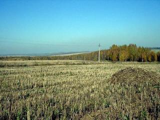 #1: North view of confluence point (Северный вид на точку)