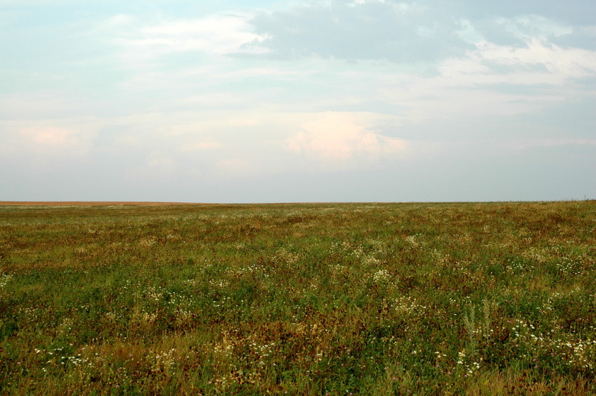 East view / На восток