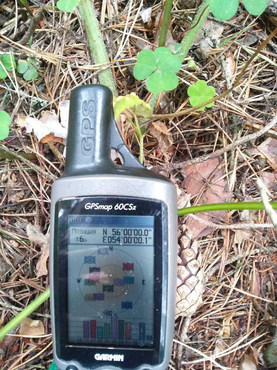 GPS reading