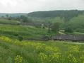 #3: Лидино, одно из последних селений на пермской стороне -- Lidino, one of the last settlements on the Perm region side