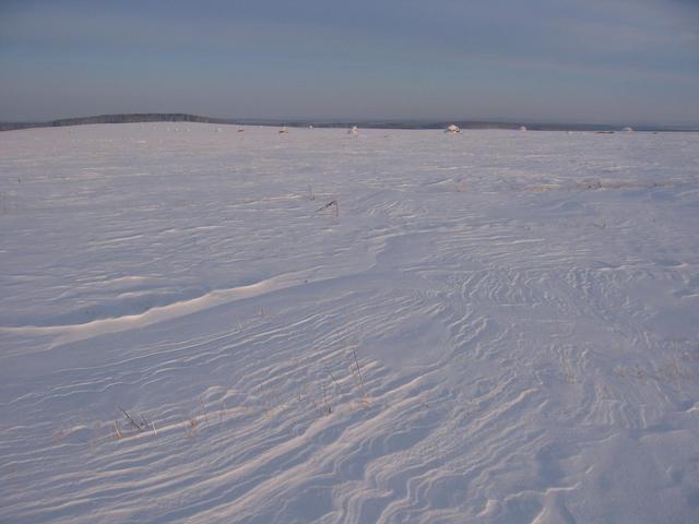 View from the point. Vast Bashkirian fields with haystacks. We came on foot from beyond that forest on the horizon at our first reconnaissance attempt