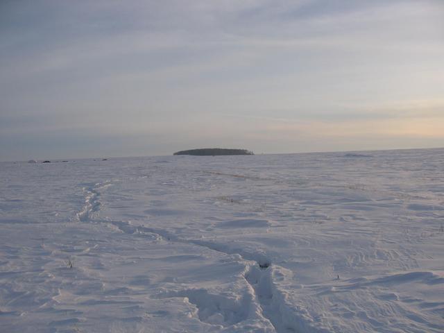 View to the South and our track across snowy field