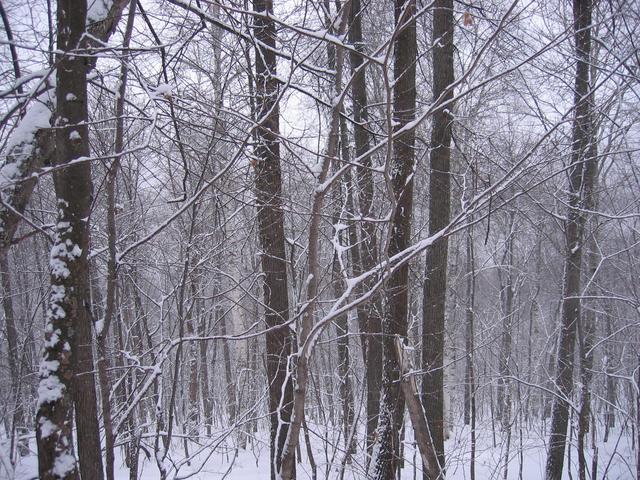 View to the North. Down the steep slope