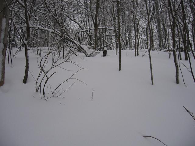 View to the South. Up the steep slope