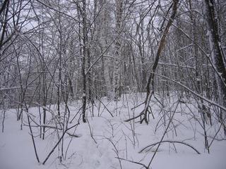 #1: View to the confluence