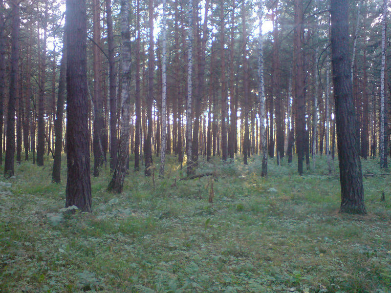 Вид на запад/West view