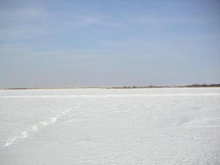 #1: View to the North. The road is a few metres from the confluence point.