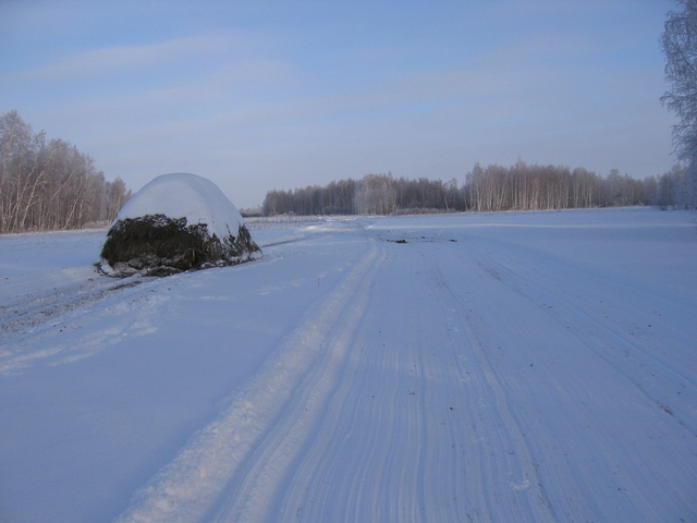 Hay-dragging track that runs as far as 1.5 kilometres from the confluence