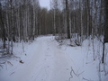 #9: On our way to the next confluence. The road between two provinces, Kurganskaya & Sverdlovskaya oblast's. We decided not to return by major road (roundabout way) but to discover alternative shorter path