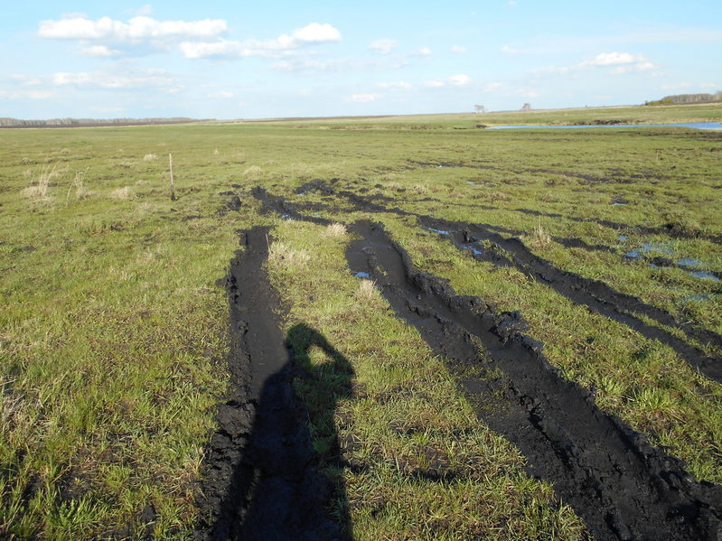 Дальше не проехал, застрял/I couldn't drive further and got stuck