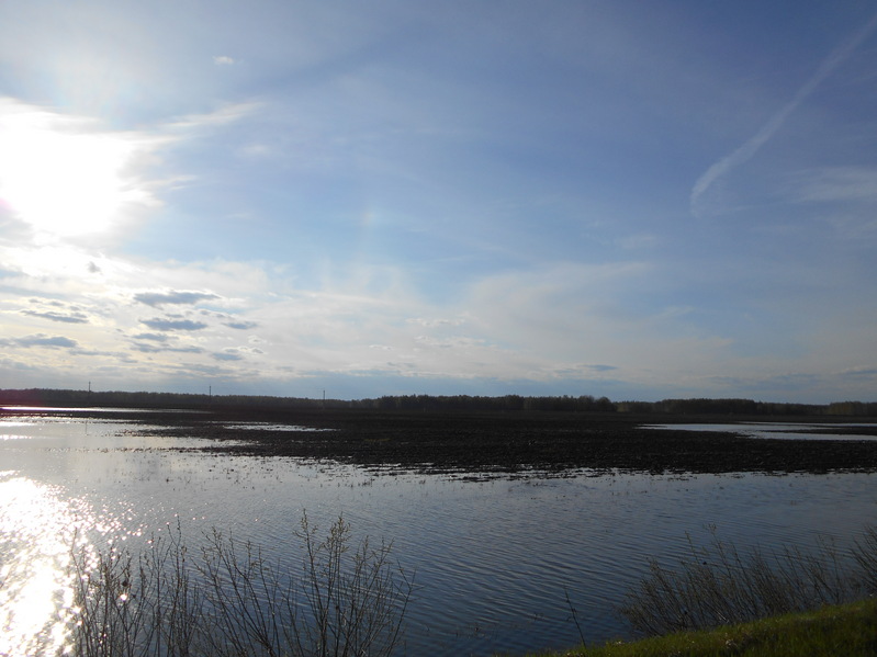 Это не озеро а поле под водой/That isn't a lake, it's a field under the water