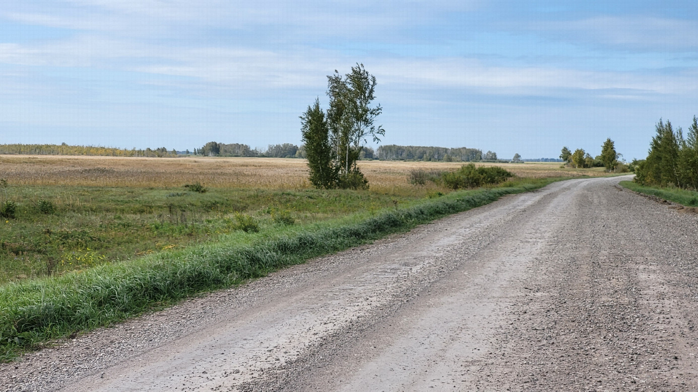 Дорога / Road