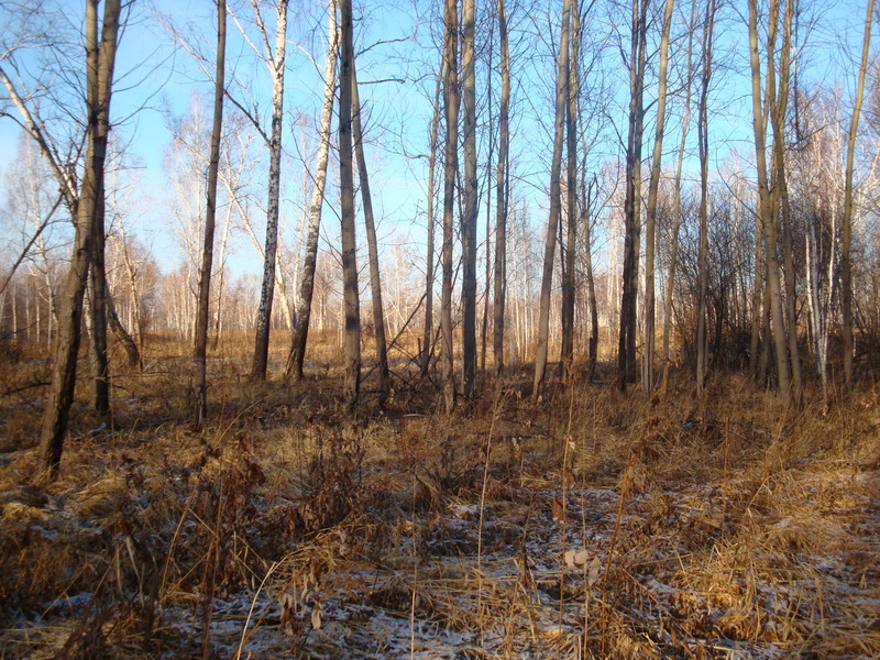 На север / Facing north