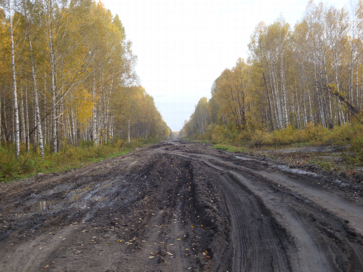 Дорога до Пихтовки / Road to Pikhtovka