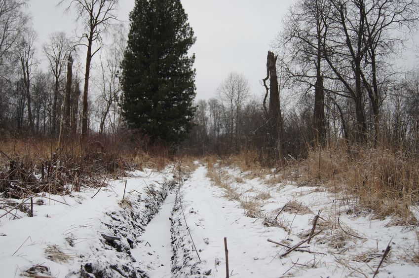 Дорога вдоль Оби - 2 / The road along Ob - 2