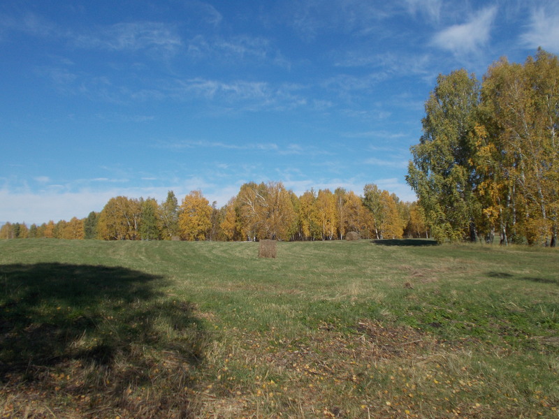 На Север/North view