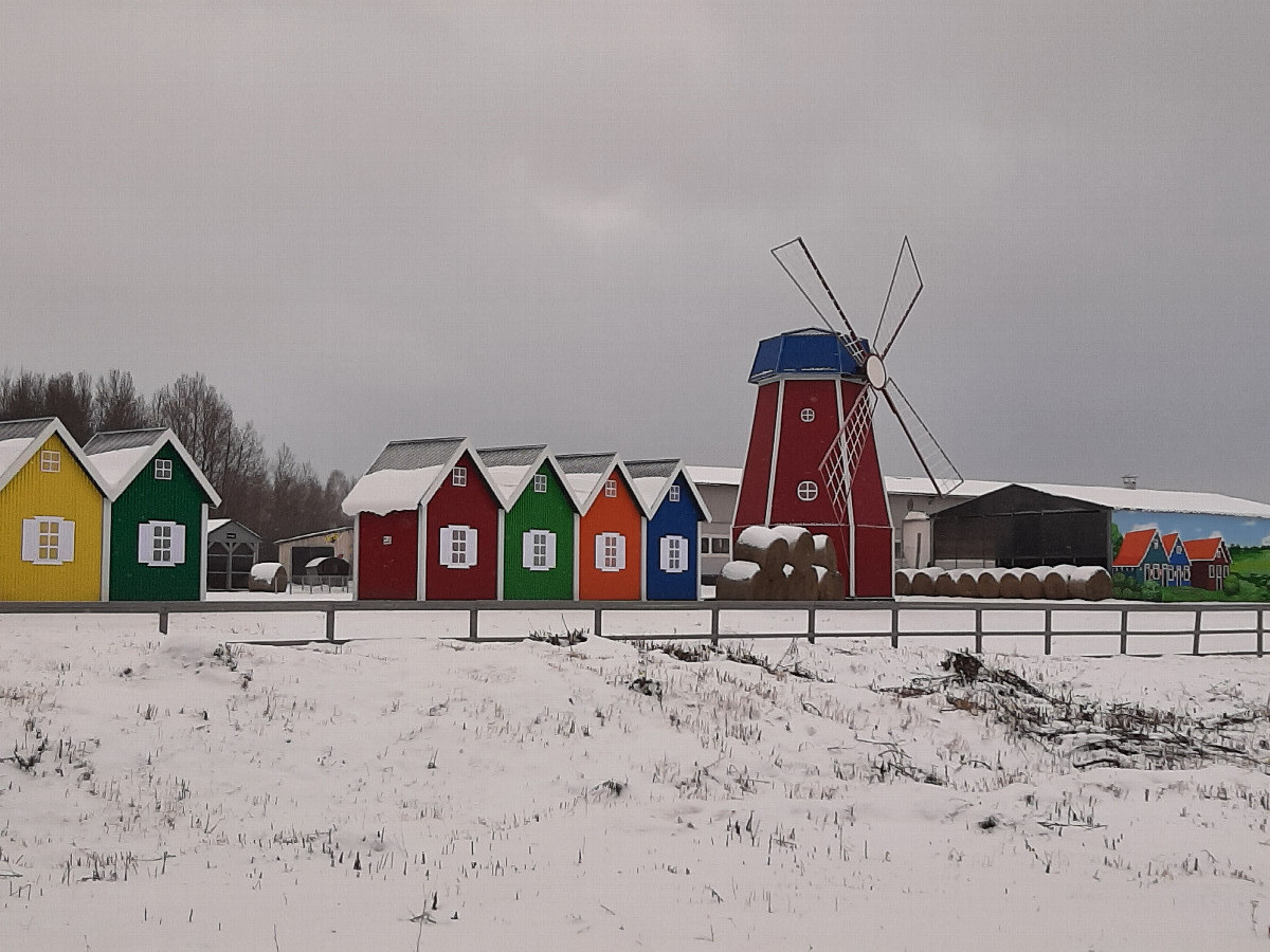 Красочные постройки / Some colorful buildings