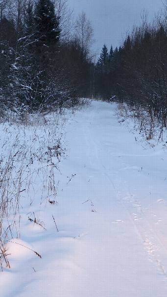 #1: Дорога в сторону пересечения / Towards the confluence