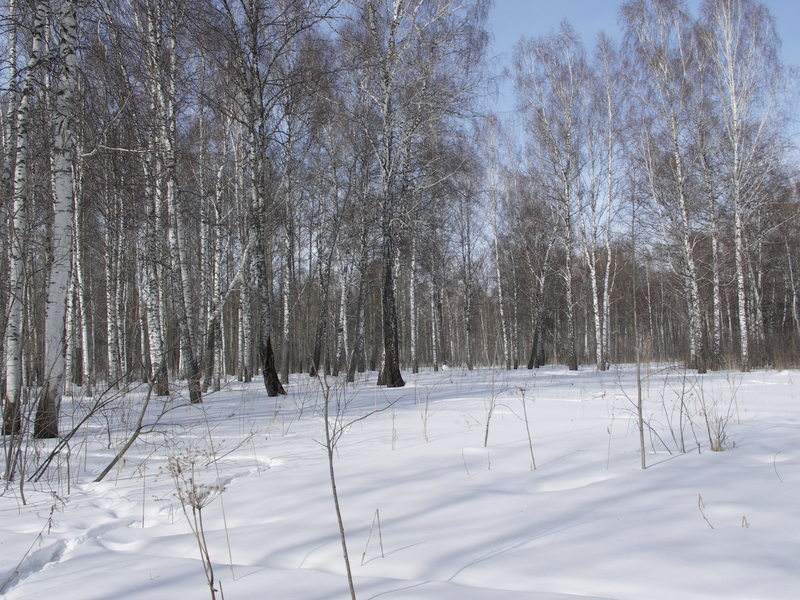 Вид на Север/North view