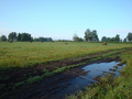 #7: Где по полю где по грязи/Somewhere onto a field, somewhere onto a mud