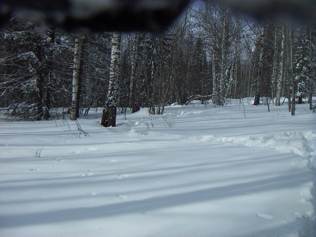 Пересечение/General view to the confluence