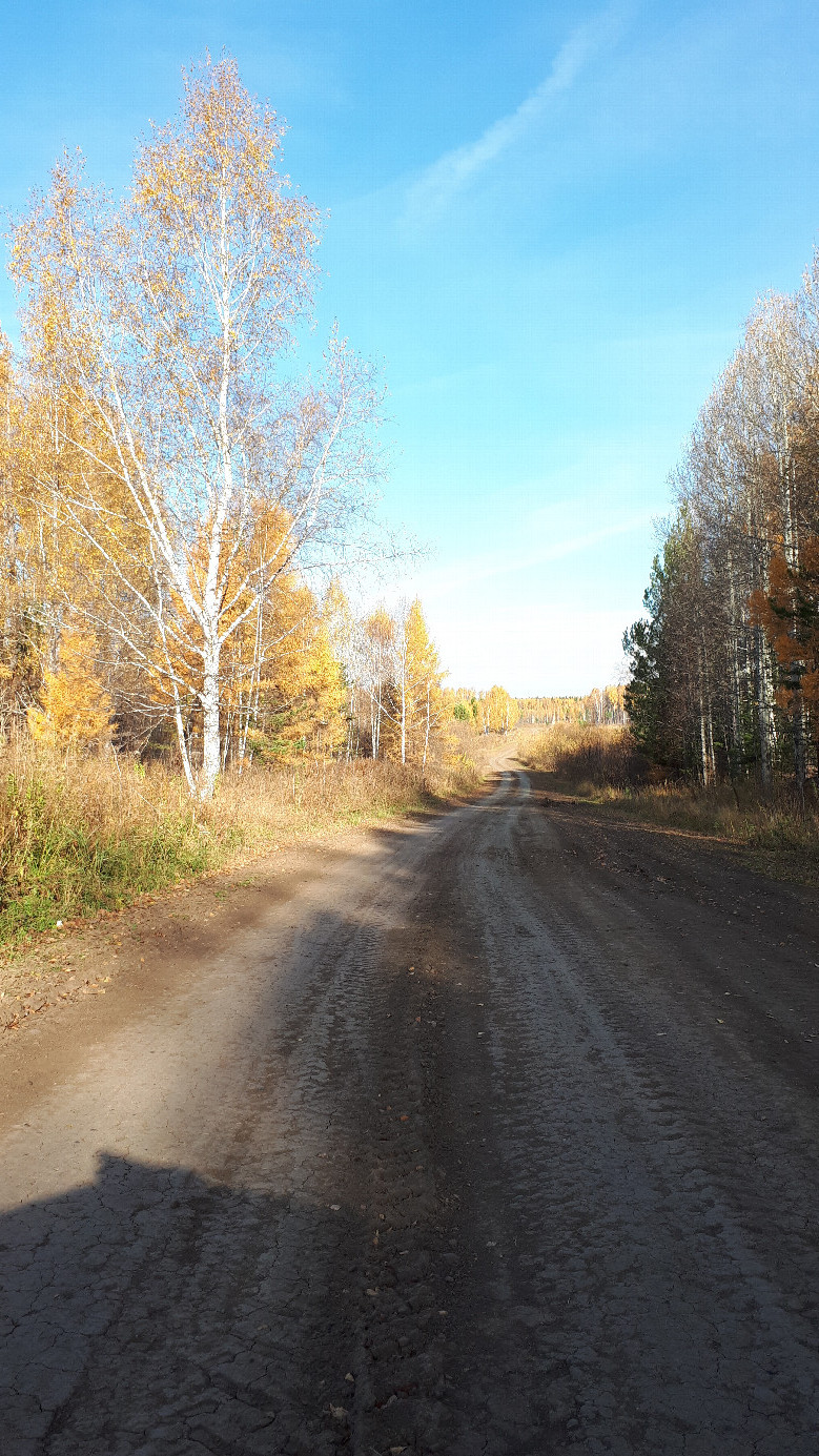 Полевая дорога / Field road