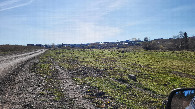 #11: Вид в сторону села Никольское / View towards Nikolskoye