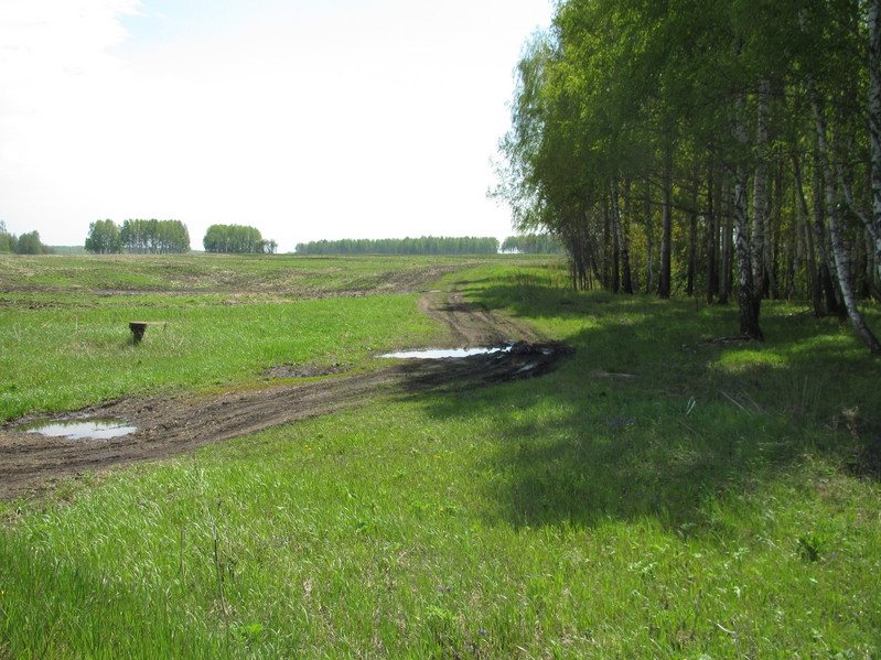 The road to the confluence