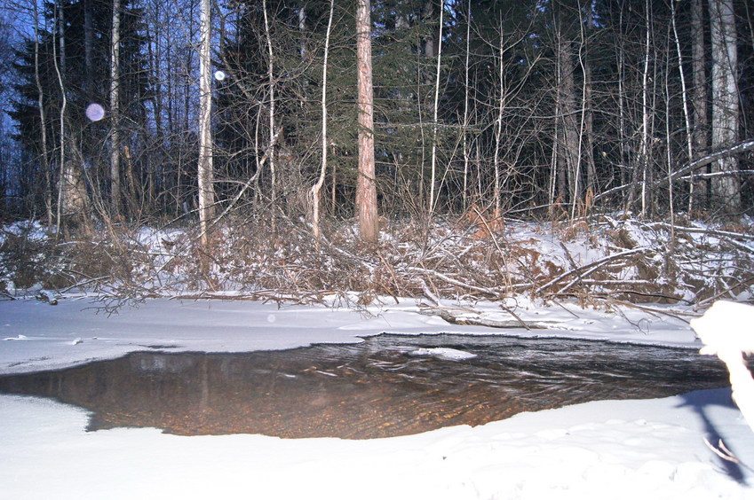 Препятствие-речушка/Rivulet as an obstacle