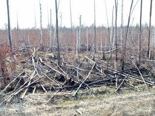 #1: Вид с трассы в сторону пересечения/View towards CP from the route