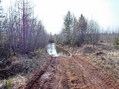 #2: Лесовозная дорога/Timber truck road