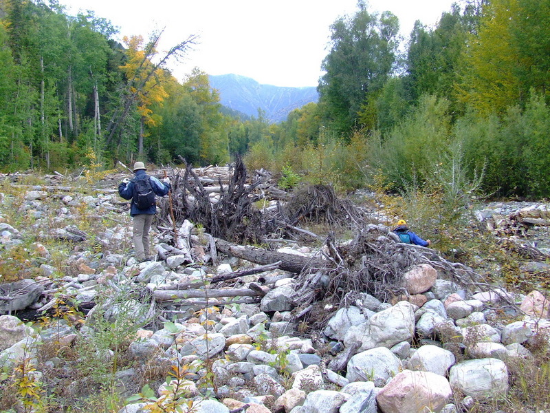 5 km away from the confluence point: bed of the Neruchanda creek