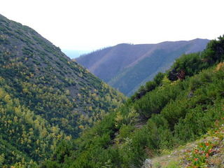 #1: View to the south-west the dale down