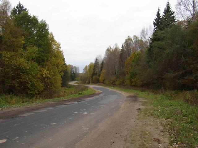 Дорога из Торопца/Road from Toropets