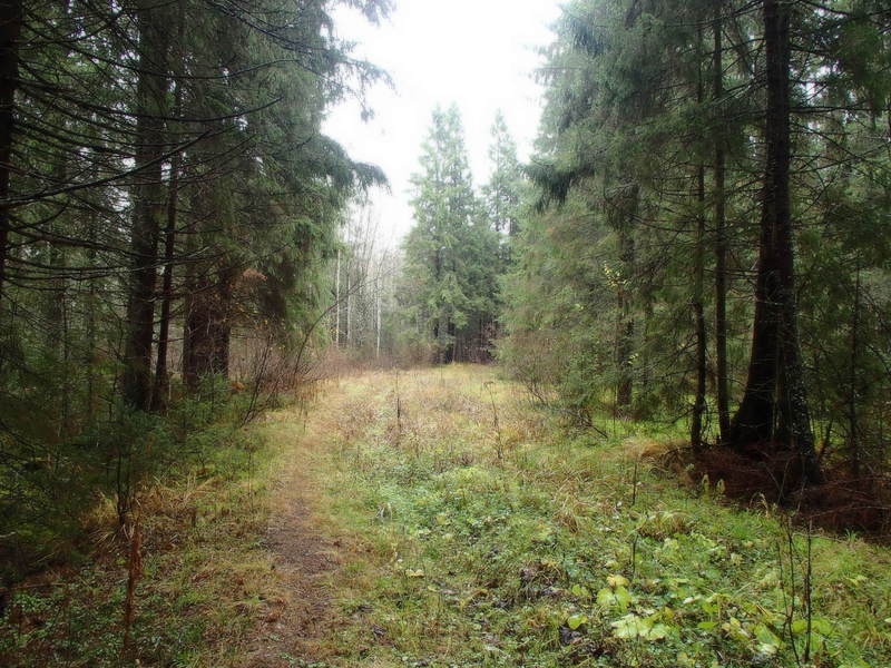 Beware! Hunters ahead! / Осторожно! Впереди охотники!