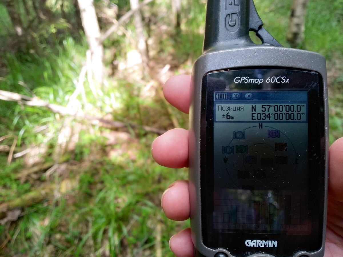 GPS reading