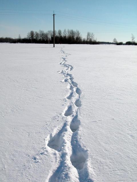 South view. Our path to the point in the snow.