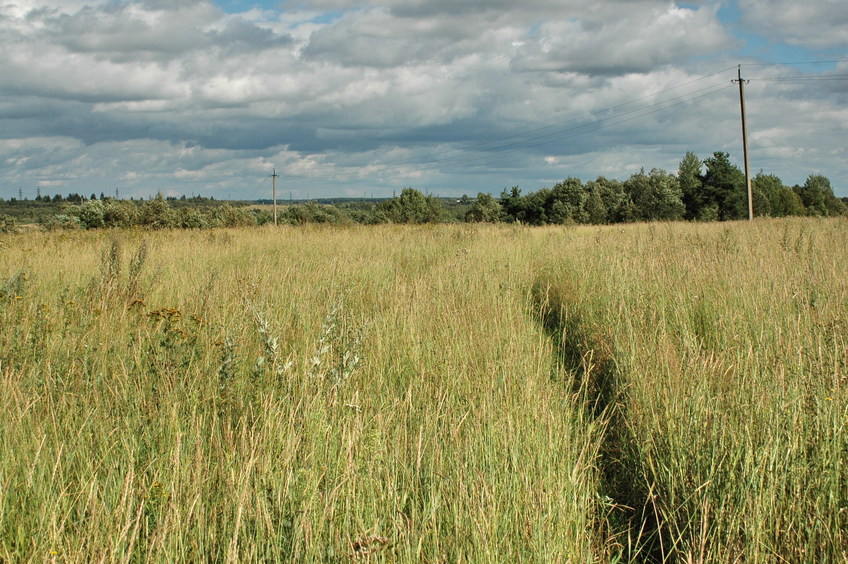 General view/Вид на точку