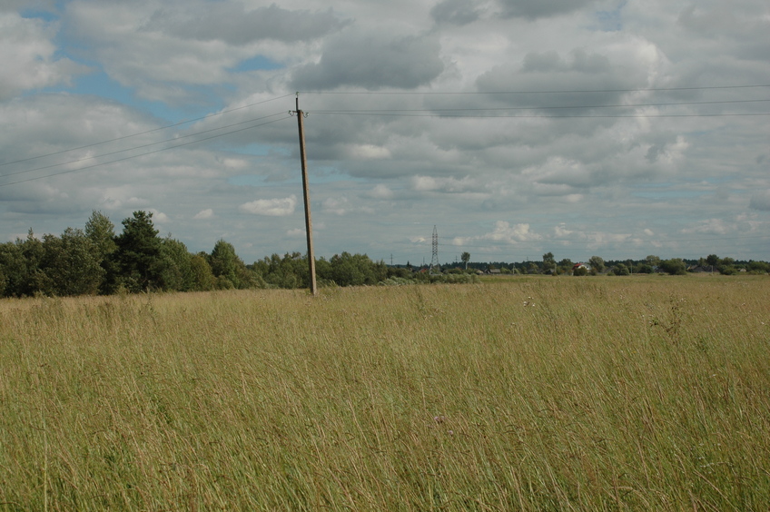 East view/Восток