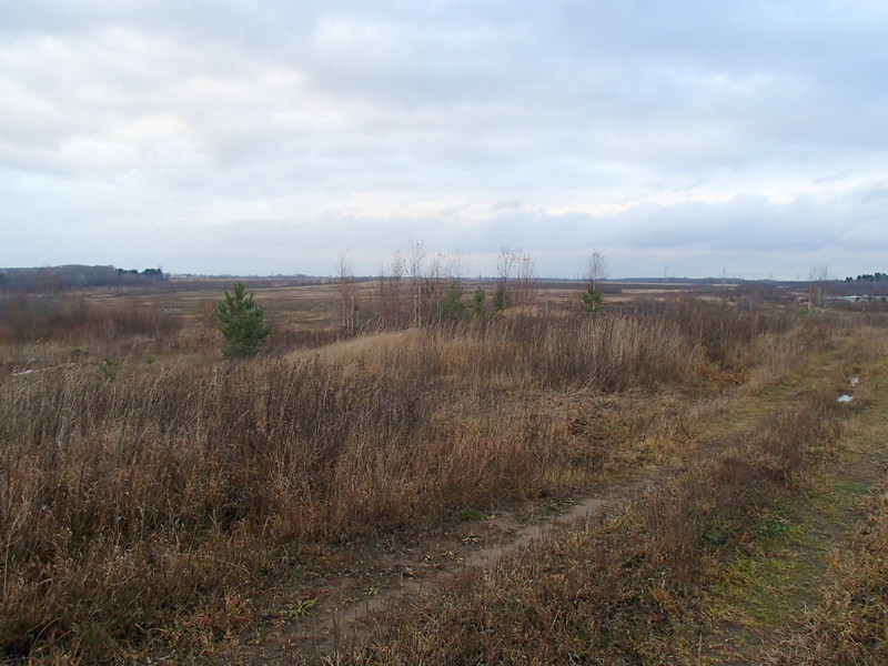 View to the north / Вид на север