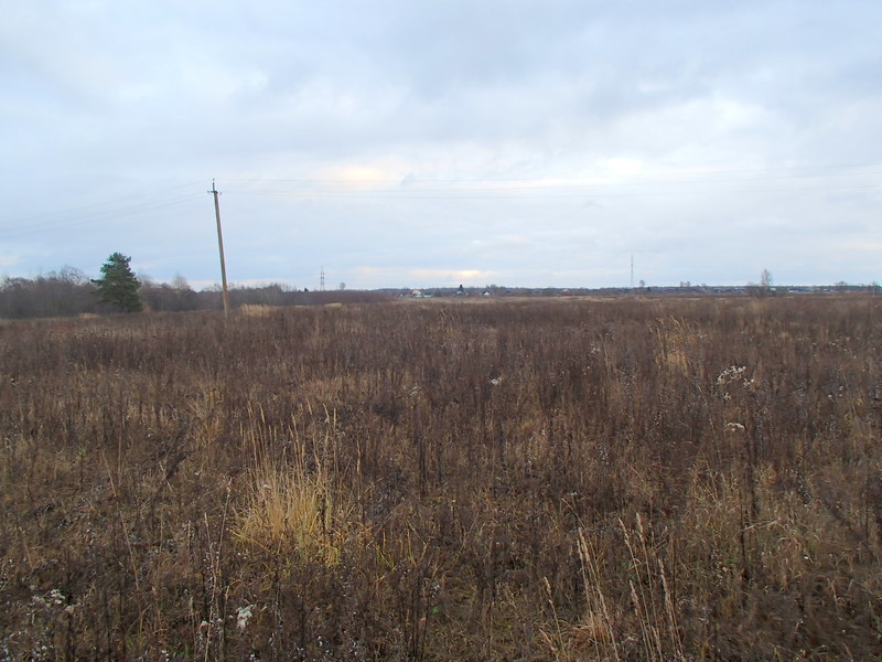 View to the east / Вид на восток