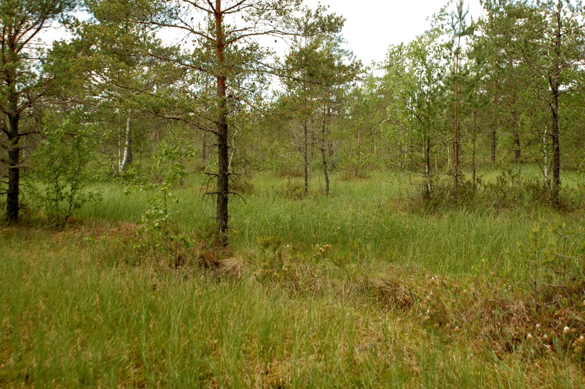 North-West view / На северо-запад