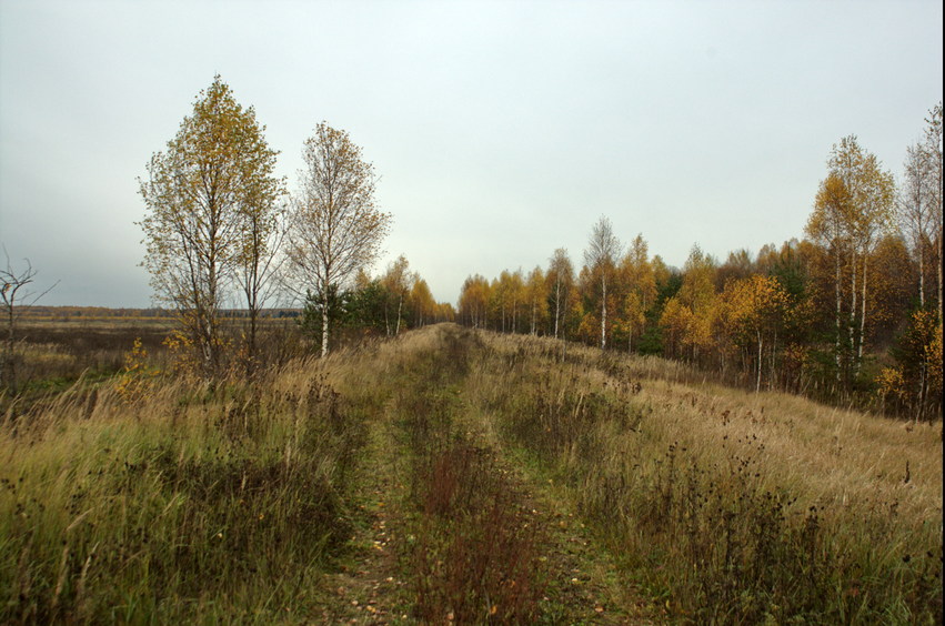 Dirt road to the confluence -1