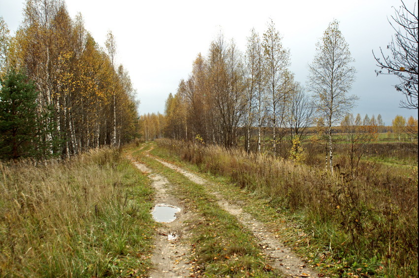 Dirt road to the confluence -2